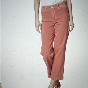 Paige pants.